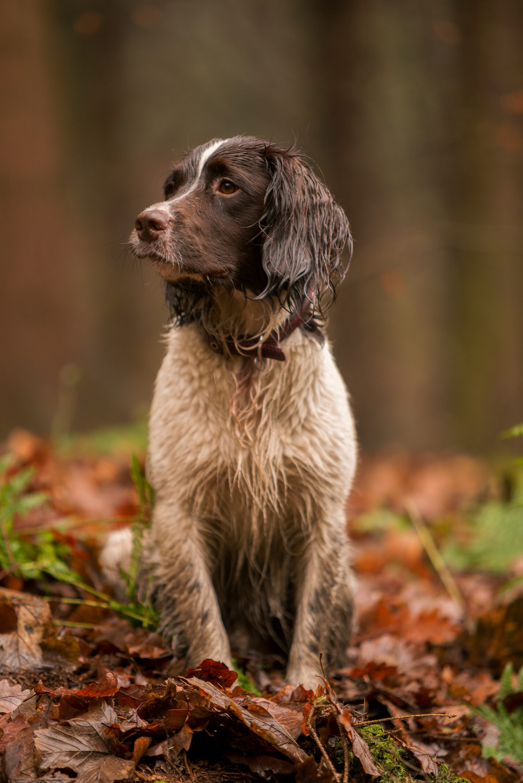 andrew-whitham-_NArzwph68g-unsplash